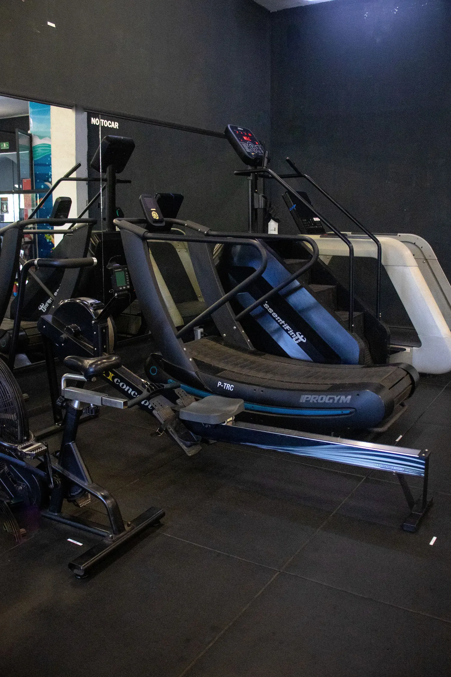 Caminadora curva, remo Concept2 y escaladora