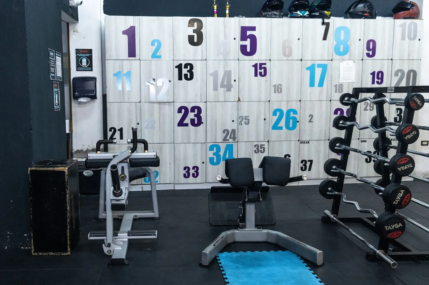 Lockers con numeración aqua y morada y barras Tayga